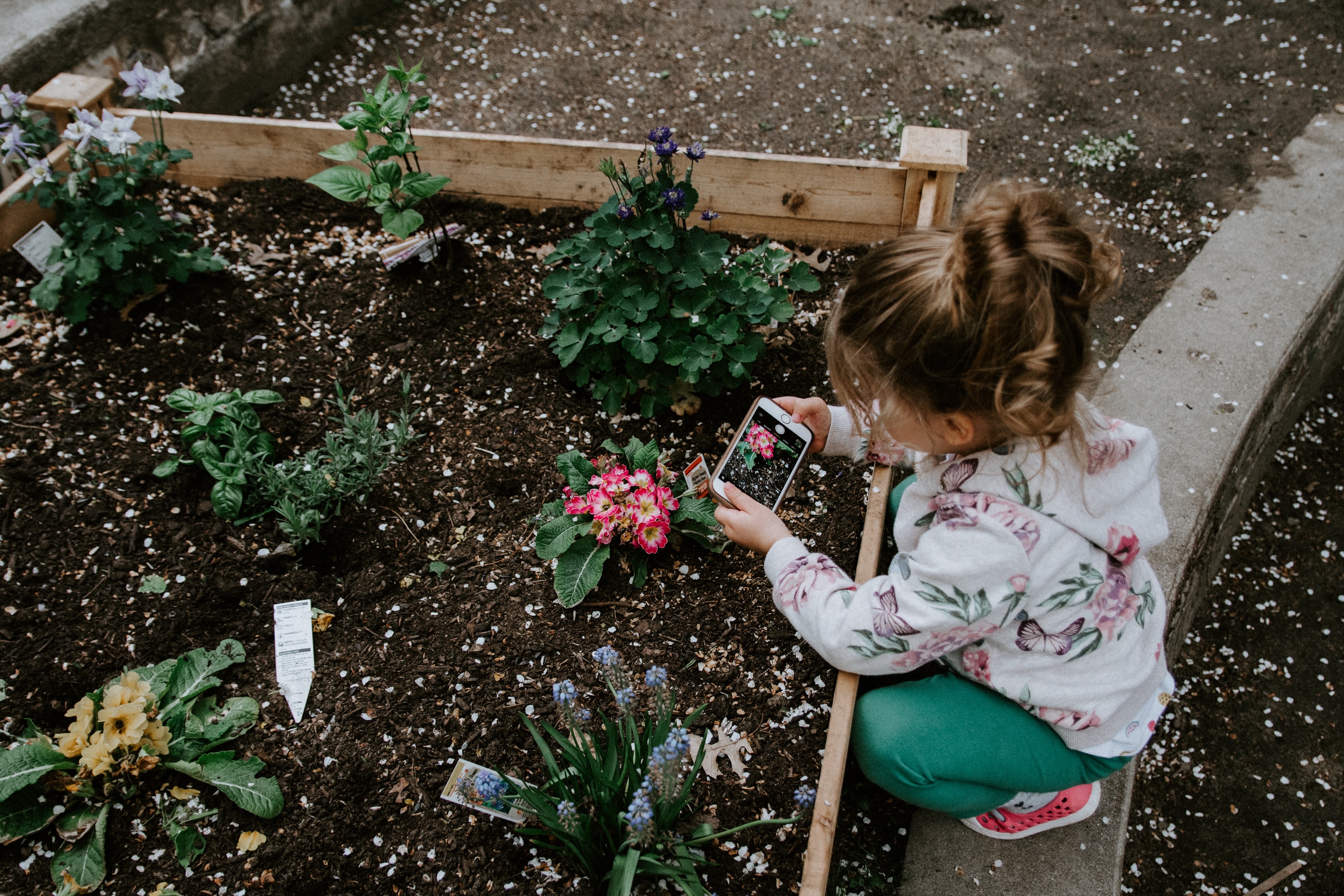 Girl with phone planting